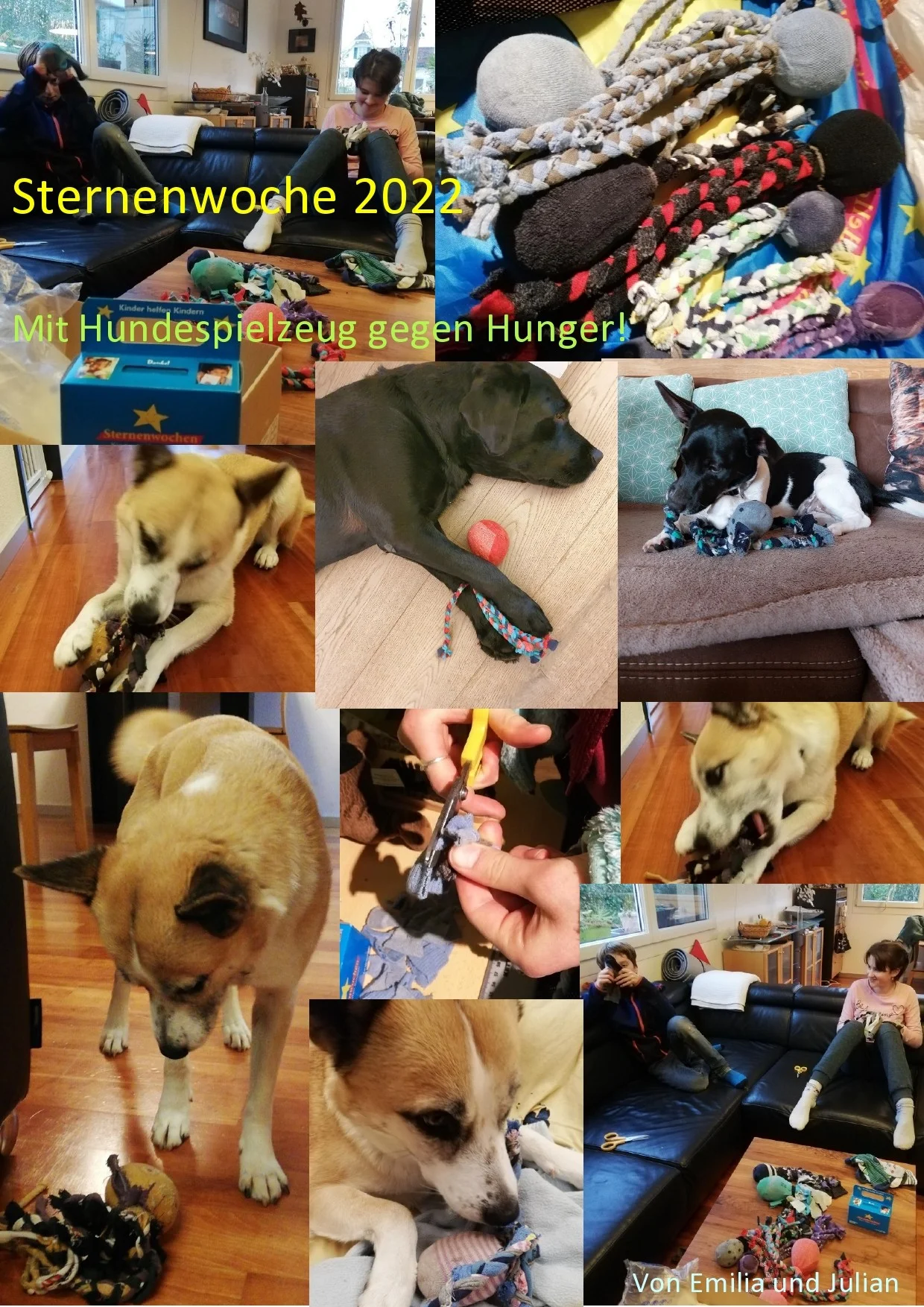 Hunde mit selbst gemachten Spielzeuge