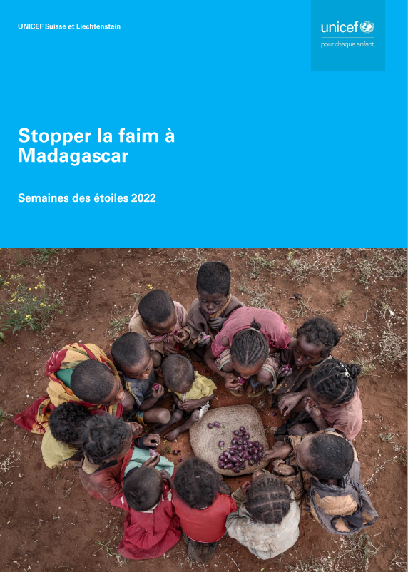 Factsheet Madagascar FR