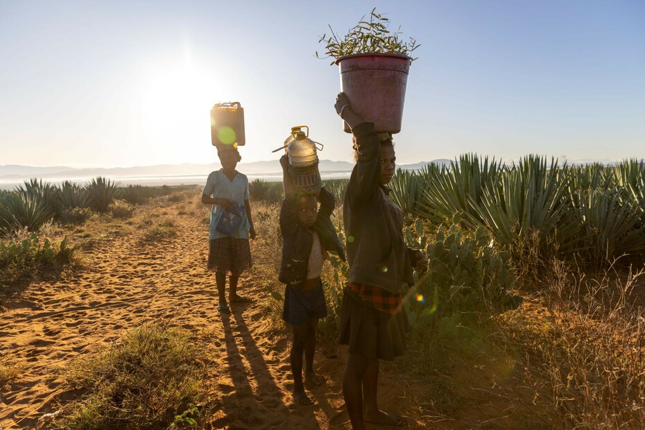 Eindrücke aus Madagaskar